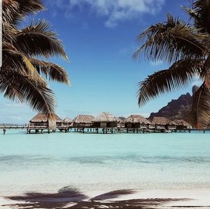 Meet your Posher, Elle